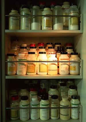 綾瀬エリアで信頼できる循環器内科を徹底解説!最新医療情報と安心の診療体制